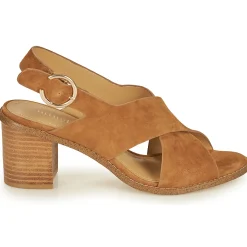 Maison Minelli - CASIMIERA Marron New