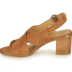 Maison Minelli - CASIMIERA Marron New