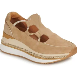 Mam'Zelle - ESTACA Camel Online