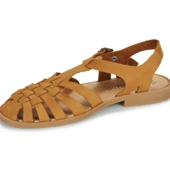 MEDUSE - SUNVILLE Cognac Sale