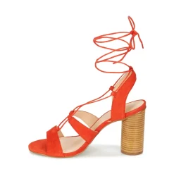 Mellow Yellow - BRUNE Orange Best