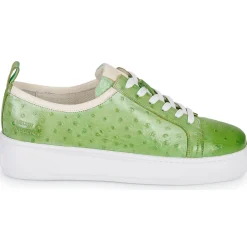 Melvin & Hamilton - AMBER 6 Vert Hot
