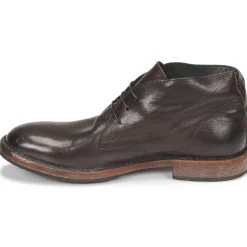 Moma Bottines / Boots^- 50305B-CU-EBANO