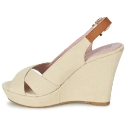 Moony Mood - AKOLM Beige New