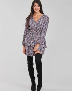 Moony Mood - PAPIS Rose Sale