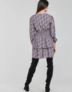 Moony Mood - PAPIS Rose Sale