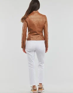 Moony Mood - PUIR Camel Sale