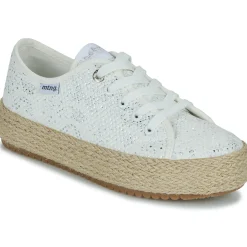 MTNG - 60008B New