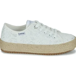 MTNG - 60008B New