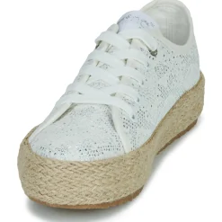 MTNG - 60008B New
