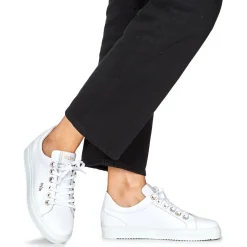 Myma - 7620MY00-CUIR--ARGENT< Baskets Mode