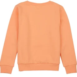 Name it - NKFLOFFINA LS SWE BRU PS Orange