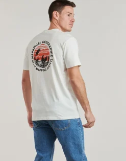 Napapijri T-shirts & Polos^- S-VIGNONI
