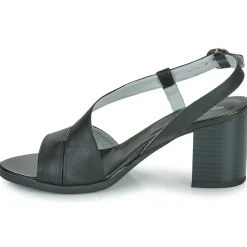 NeroGiardini - E410440D< Sandales Et Nu-pieds