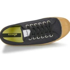 Novesta - STAR MASTER Noir Hot