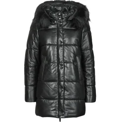 Oakwood - FAMER Noir Clearance