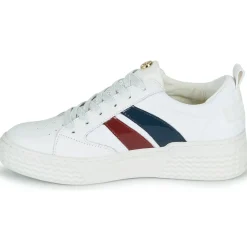 Palladium Baskets Mode^- EGO 03 NPA