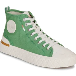Palladium - PALLA ACE CHUKKA ORG New