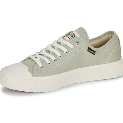 Palladium Baskets Mode^- PALLA ACE CVS