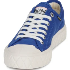 Palladium - PALLA ACE CVS ORG< Baskets Mode