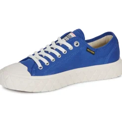 Palladium - PALLA ACE CVS ORG< Baskets Mode