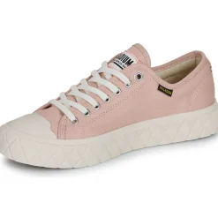Palladium Baskets Mode^- PALLA ACE CVS ORG