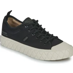 Palladium Baskets Mode^- PALLA ACE LO SUPPLY