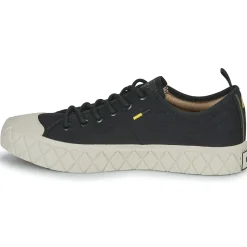 Palladium Baskets Mode^- PALLA ACE LO SUPPLY