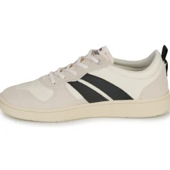 Palladium - PALLACUP FLAME LTH Hot