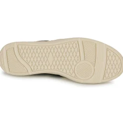Palladium - PALLACUP FLAME LTH Hot