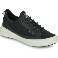 Palladium - PALLANOVA CVS< Baskets Mode