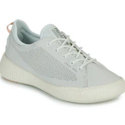 Palladium - PALLANOVA LTH< Baskets Mode