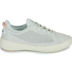 Palladium - PALLANOVA LTH< Baskets Mode