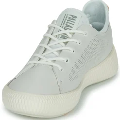 Palladium - PALLANOVA LTH< Baskets Mode