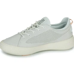Palladium - PALLANOVA LTH< Baskets Mode