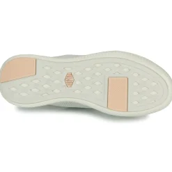 Palladium - PALLANOVA LTH< Baskets Mode