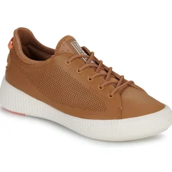 Palladium - PALLANOVA LTH< Baskets Mode