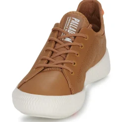 Palladium - PALLANOVA LTH< Baskets Mode