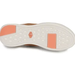 Palladium - PALLANOVA LTH< Baskets Mode
