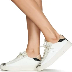 Palladium Baskets Mode^- pallatempo 02 cvs