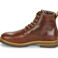 Panama Jack - EMERY< Bottines / Boots