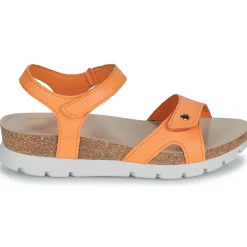 Panama Jack Sandales Et Nu-pieds^- SULIA