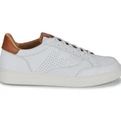 Pataugas - BASALT/VTG H2H Online