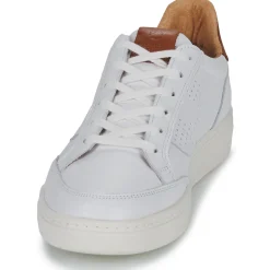 Pataugas - BASALT/VTG H2H Online