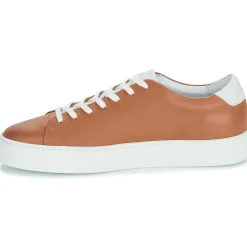 Pataugas - KELLA Cognac Best