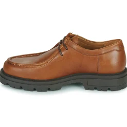 Pellet - ADAM Veaupullupbrandy New