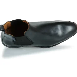 Pellet - ALFONSE Veaulissebrossenoir New