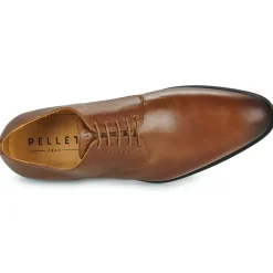 Pellet - ALIBI VEAUBRANDY Discount