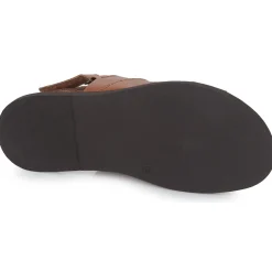 Pellet - ANGEL VEAUCOGNAC Discount