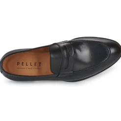 Pellet - AUGUSTE VEAUNOIR Clearance